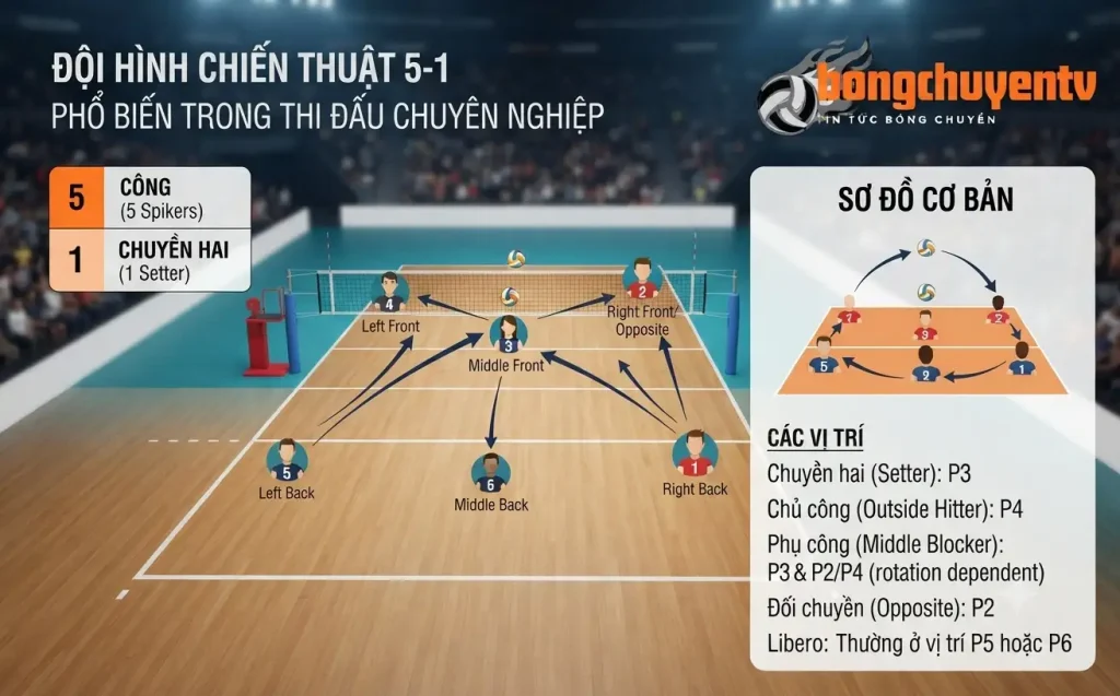 Đội hình chiến thuật 5-1 phổ biến trong thi đấu chuyên nghiệp