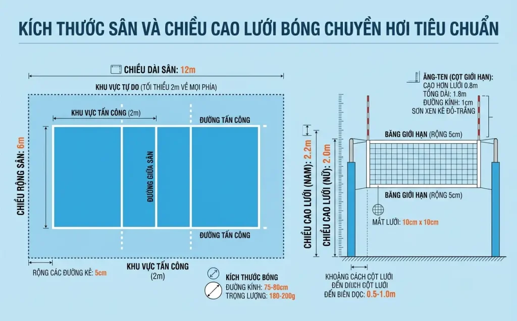 Kích thước sân và chiều cao lưới tiêu chuẩn trong luật bóng chuyền hơi.