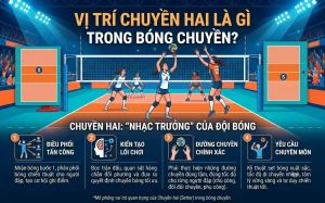Bóng Chuyền TV