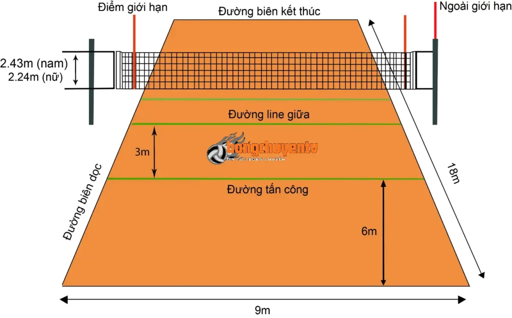 Chi tiết vạch kẻ và đường tấn công 3m trên kích thước sân bóng chuyền