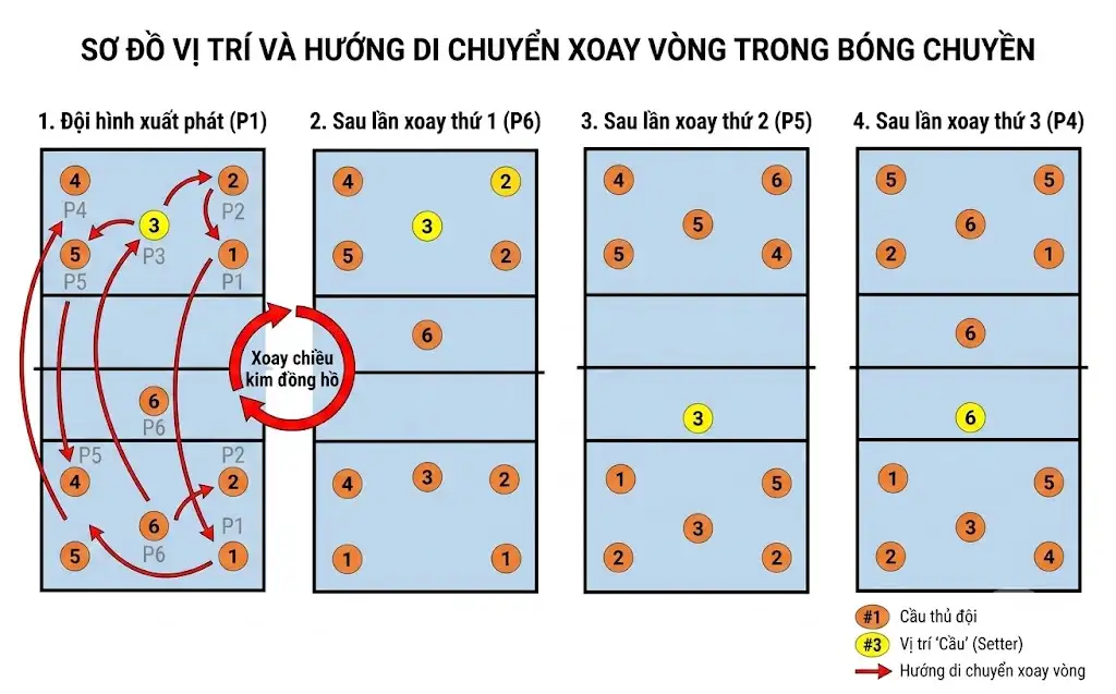 Sơ đồ vị trí và hướng di chuyển đổi cầu trong bóng chuyền 