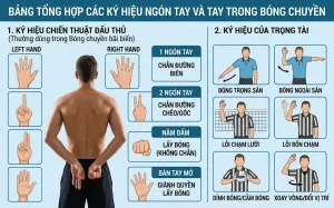 Bóng Chuyền TV