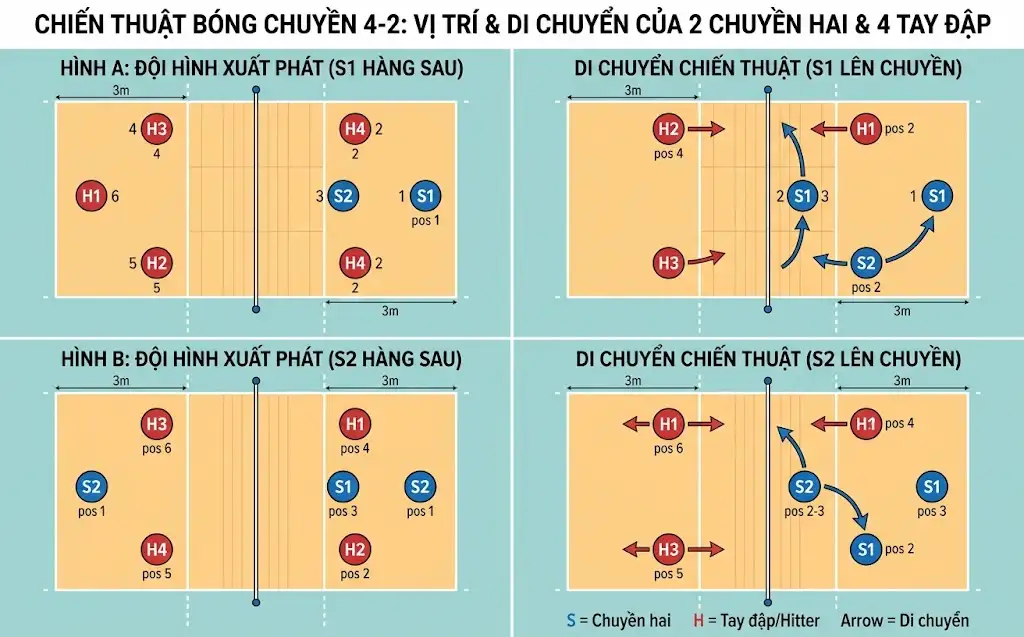 Vị trí di chuyển của 2 Chuyền hai và 4 tay đập trong chiến thuật 4-2