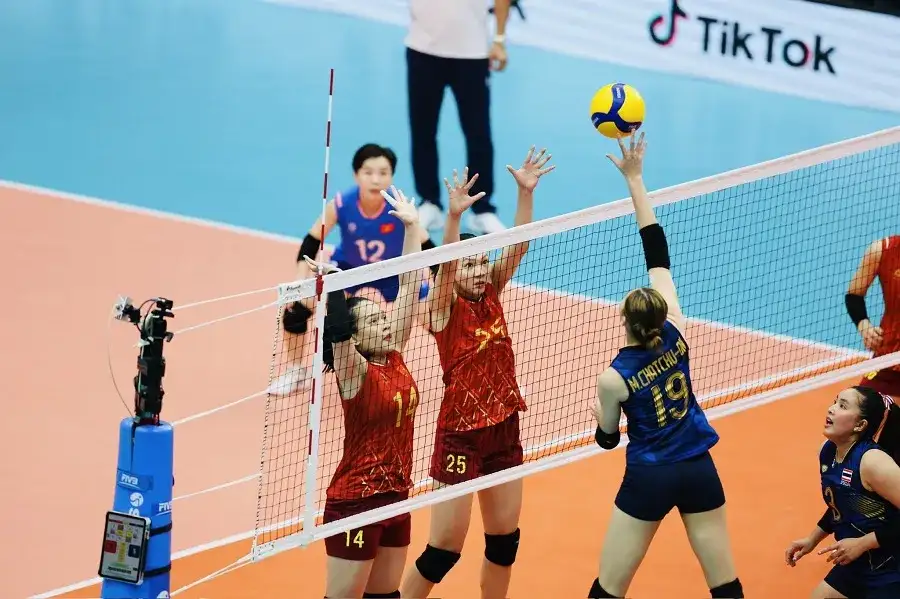 Mỗi đội bóng chuyền bãi biển chỉ gồm đúng 2 VĐV thi đấu và không có cầu thủ dự bị.